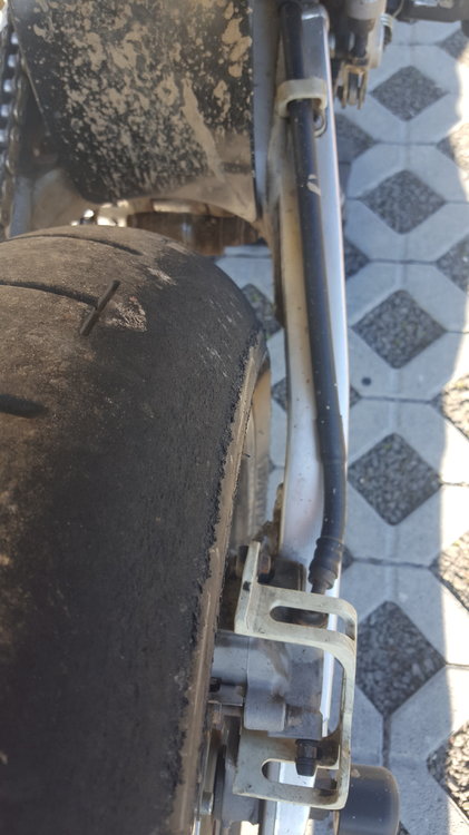 20190418_165213[1].jpg
