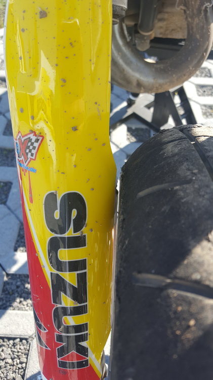 20190418_165538[1].jpg